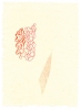 Tinte und Buntstift auf Bütten, 20 x 16 cm